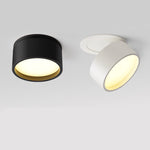 Two ceiling lights, one black and one white, on a gray background.