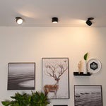 Wall with framed pictures, a deer illustration, and decorative items with lights on the ceiling.