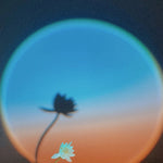 Circular filter with a silhouette of a flower and gradient background